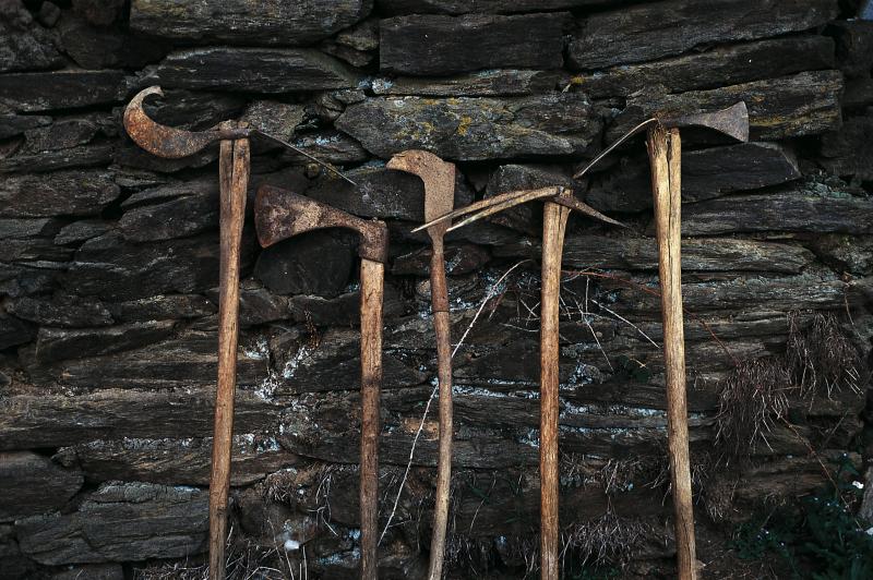 Outils aratoires à main, hache (destral, pigassa) et serpette (podet) devant un mur en pierre, juin 1995