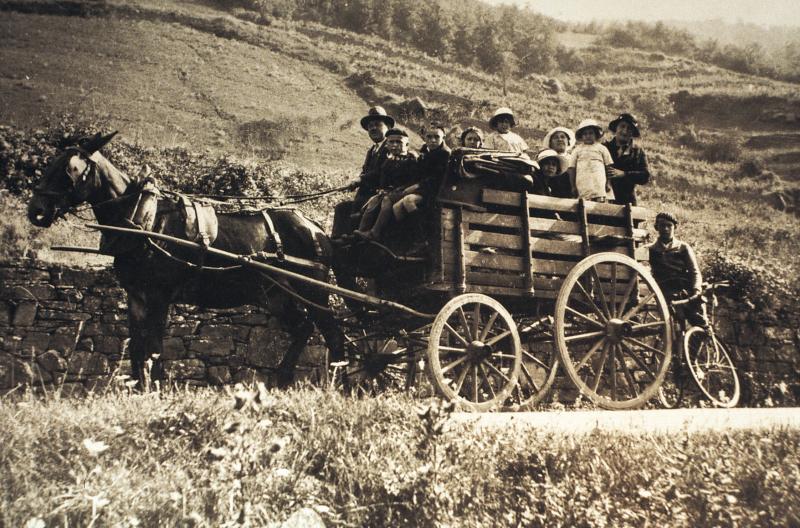 Mulet (muòl) attelé à un break transportant une famille et cycliste à terre