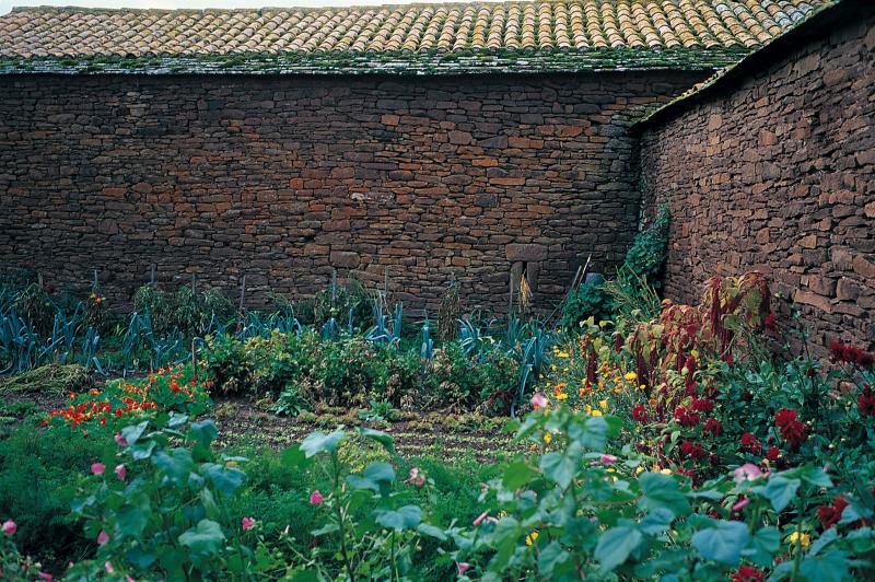 Fleurs (flors) et légumes (legums, ortalissa) dans un jardin (òrt), secteur de Saint-Sernin sur Rance