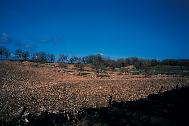 Champs (camps, pèças) entourés de murets (paredons) en zone causse (causse) et terrefort (tèrrafòrt), février 2002