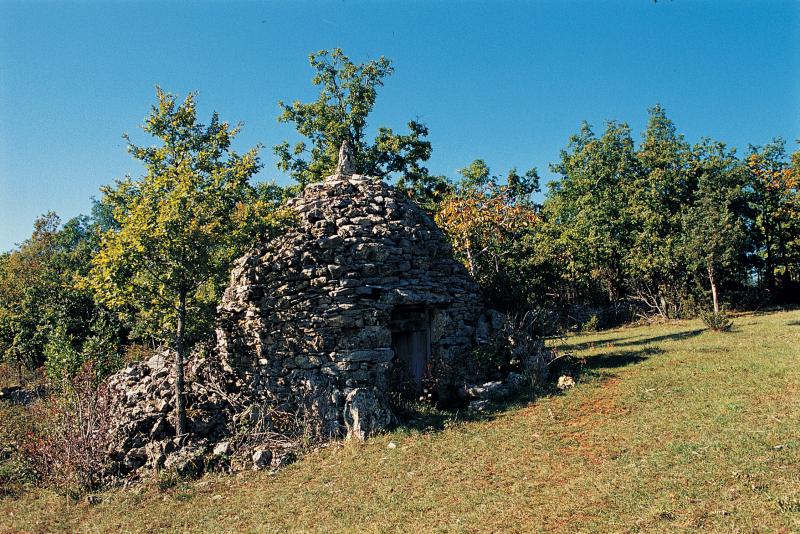 Cazelle (cabana, cairon, casèla) isolée au milieu d'une ancienne vigne (vinha), dans le Villefranchois (secteur de Villefranche de Rouergue), octobre 2002