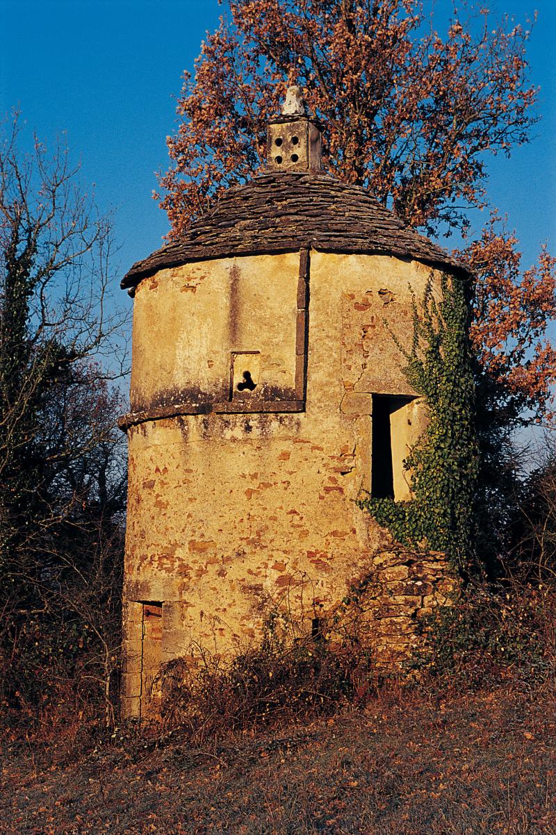  Pigeonnier (colombièr, pijonièr) circulaire avec pierre et lanterne d'envol, dans le Villefranchois (secteur de Villefranche de Rouergue), décembre 2001