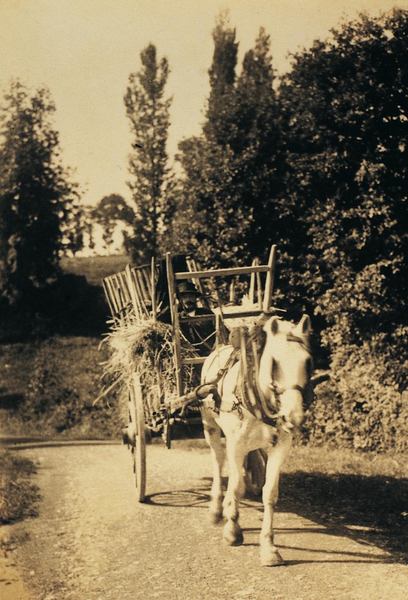 Charroi (carreg) de gerbes (cluègs, garbas) de paille de seigle (palha de segal) avec un équidé attelé à un char (carri) avec ridelles, vers 1940