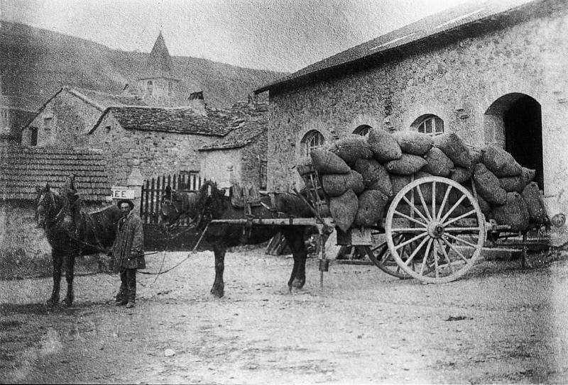 ​Temps de pause devant renfort d'équidés (prodèl) attelés à un char (carri) chargé de ballots de laine (lana), à Lapeyre, vers 1900. 
