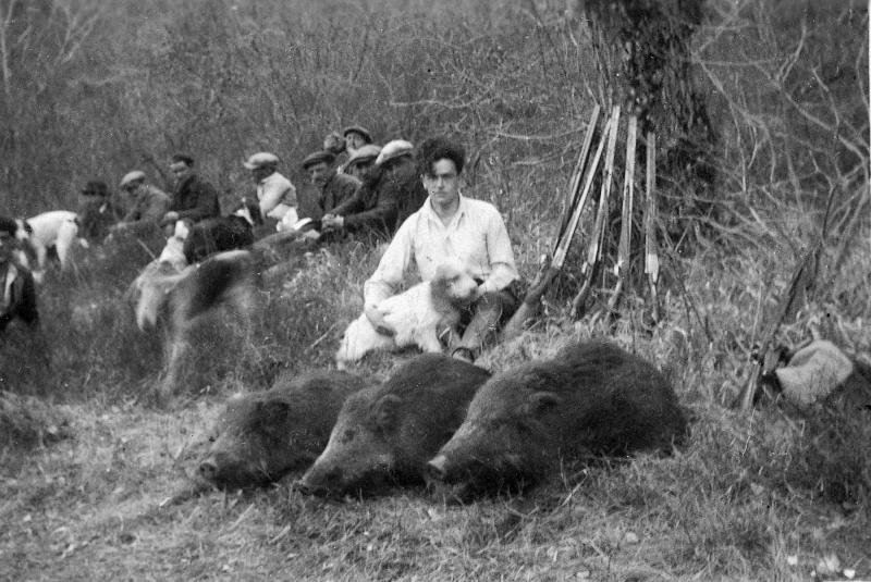 Chasseurs (caçaires) avec cinq chiens (cans) et trois sangliers (pòrcs singlars, singlars) abattus, 1945
