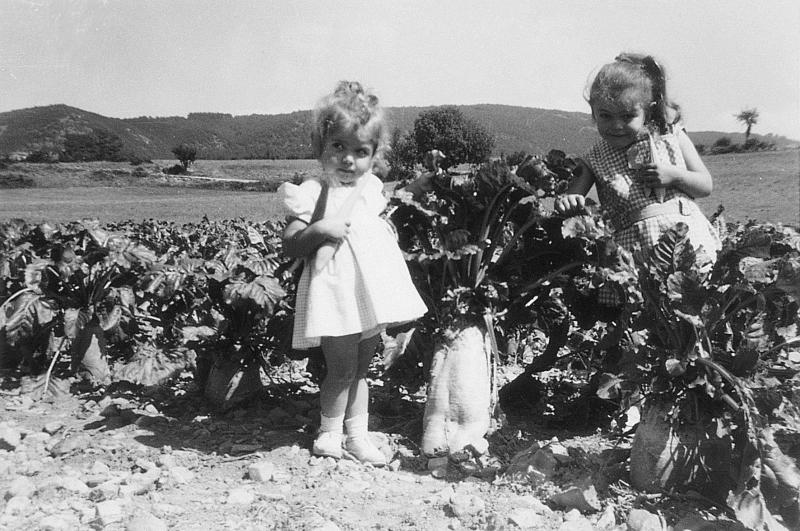 ​Deux fillettes dans un champ de betteraves (bledas), à Vialgues, 1964