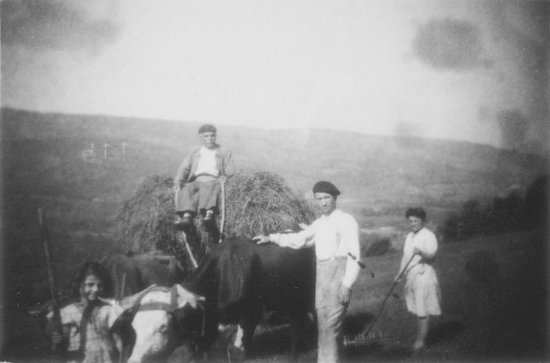  Temps de pause durant chargement et râtelage manuels du foin (fen) avec paire de bovidés (parelh), à L'Embourbat ou Embourbé, vers 1946