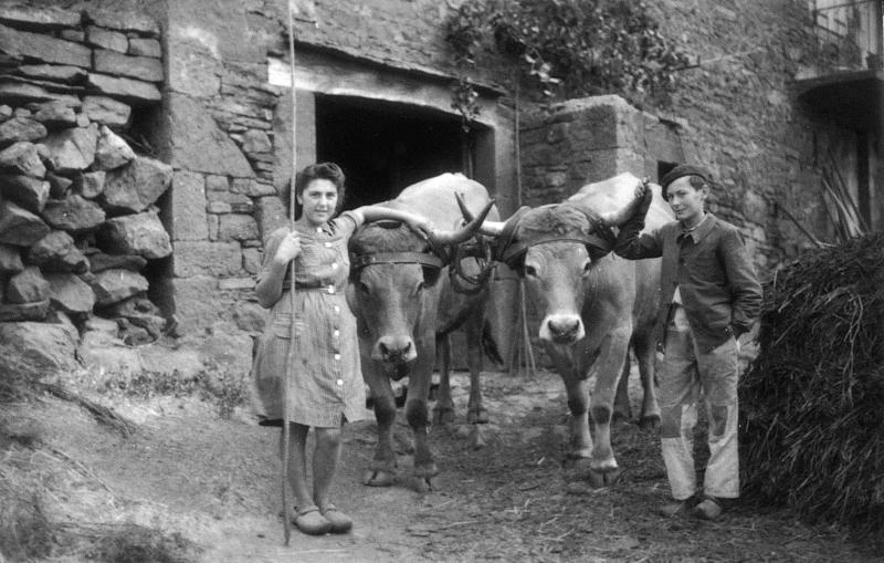  Jeune fille et jeune homme et paire de bovidés (parelh) devant une porte d'étable (estable) et un tas de fumier (femorièr), à La Garriette, 1943