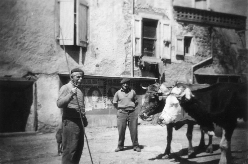 Deux hommes devant une paire de bovidés (parelh) dans une rue (carrièira), au Mas, 1954