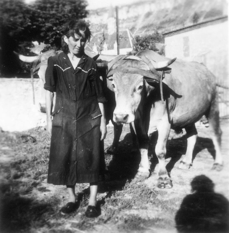 Femme devant une paire de bovidés (parelh), 1953