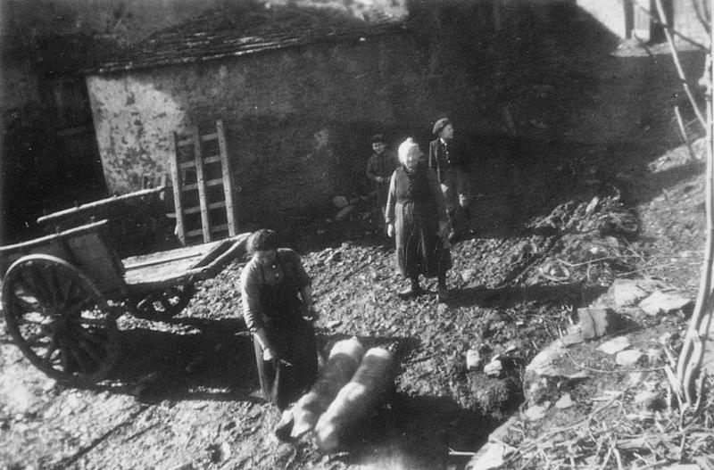  Femme donnant à manger à deux cochons (pòrcs, tessons) et personnes dans une cour de ferme (bòria), au Viala, 1946