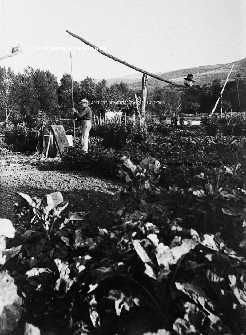 Homme dans un jardin (òrt) puisant de l'eau (aiga) à un puits à balancier (potz a caplèva), à Versols