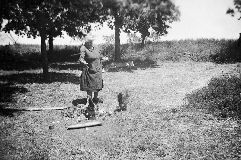 ​Femme donnant à manger à deux poules (galinas, polas) avec poussins (cotins, polsins), à La Borie, 1950-1955