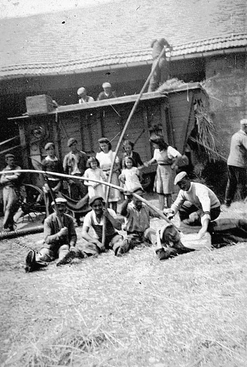  Temps de pause durant dépiquage (escodre) mécanisé à la batteuse (batusa), à Ols, août 1944