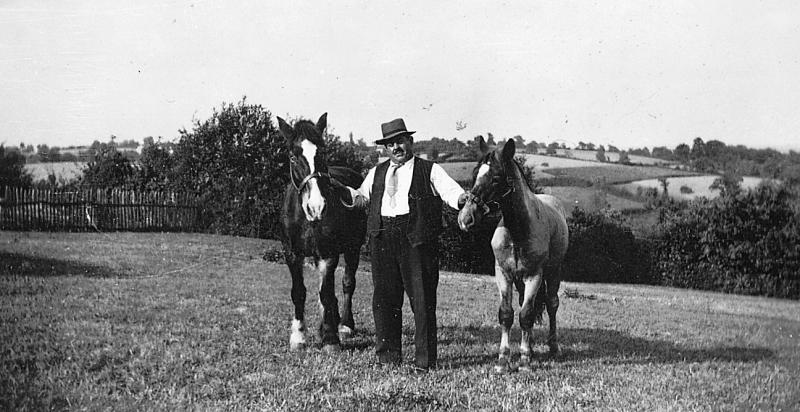 Homme tenant par la bride (brida) deux équidés dans une prairie (prada), à Calvin, 1949