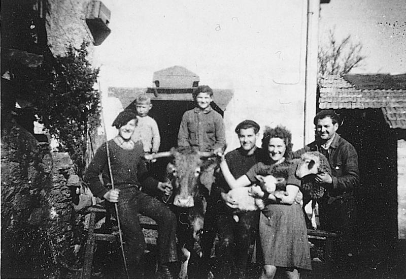 Famille avec bovidé, agneau (anhèl) et brebis (feda) dans la cour de la ferme (bòria), février 1945