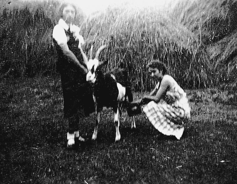 Femme tenant une chèvre (cabra) et femme la trayant devant des gerbiers (plonjons), en Peyralès (secteur de La Salvetat Peyralès)