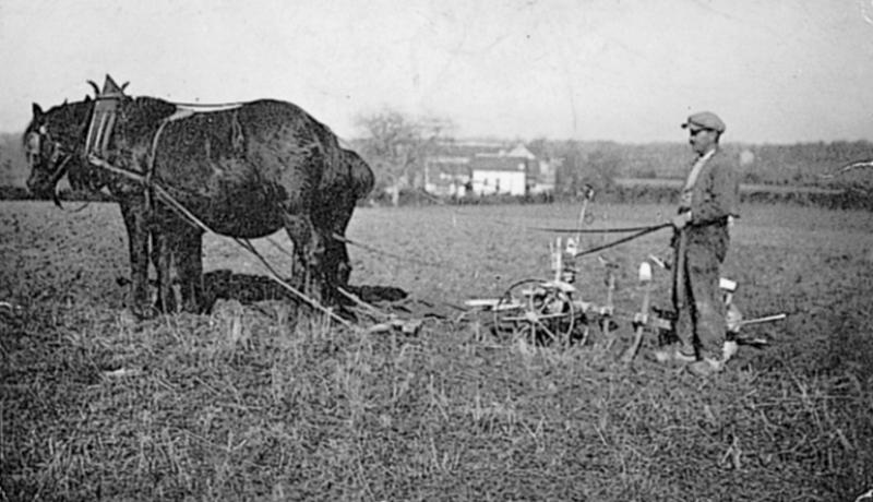 Temps de pause durant labour (laur, laurada) avec paire d'équidés (coble) et charrue Brabant, à La Lande Calmèze, vers 1950