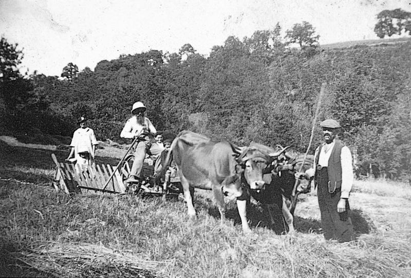 Temps de pause durant moisson (meisson, sèga) avec moissonneuse javeleuse (gavelaira), missionnaire (missionari) et paire de bovidés (parelh), à Jalenques, vers 1937