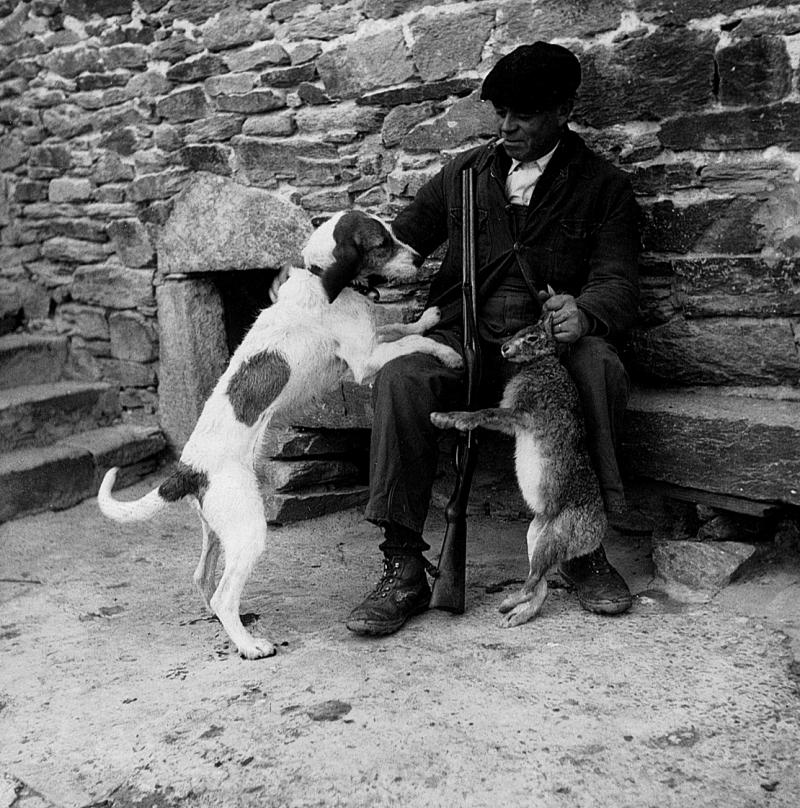 Chasseur (caçaire) montrant un lièvre (lèbre) abattu à un chien (can), à La Bessière, 1951