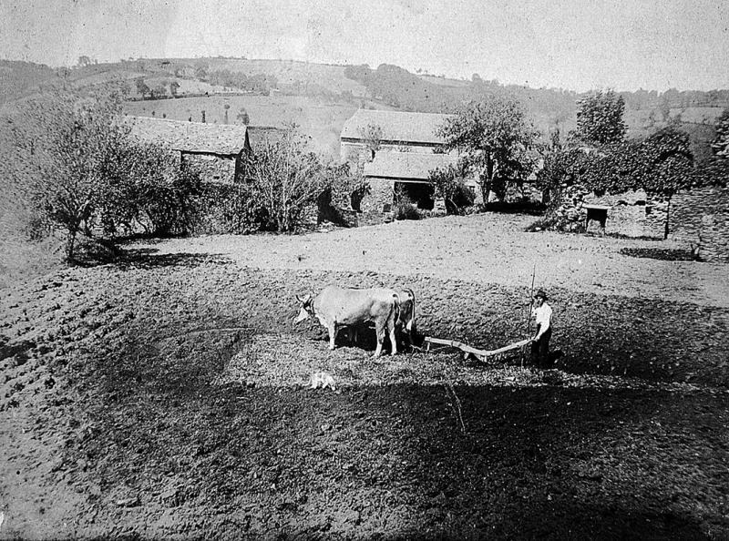 Temps de pause durant fin de labour (laur, laurada) avec charrue Dombasle et paire de bovidés (parelh), en Ségala (secteur de Baraqueville-Sauveterre : Manhac ?), 1920