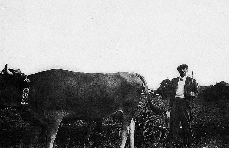 Temps de pause durant labour (laur, laurada) avec charrue Brabant et paire de bovidés (parelh), Parisien avec aiguillon (agulhada), 1937
