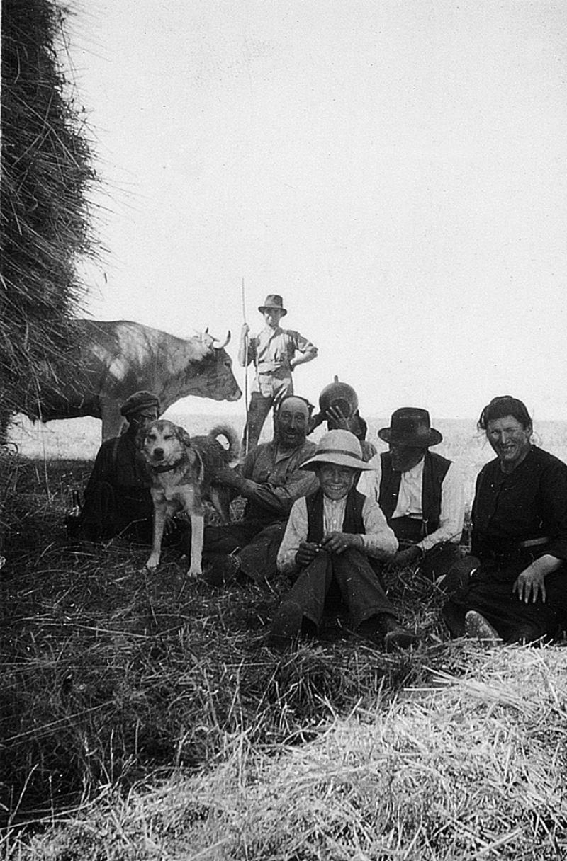 Temps de pause (beguda) durant moisson (meisson, sèga) à l'ombre d'une charretée (carrada) de gerbes (cluègs, garbas), paire de bovidés (parelh), à La Coste, 1931-1932
