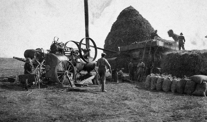 Dépiquage (escodre) mécanisé à la batteuse (batusa) actionnée par une locomobile (caufusa), sacs (sacas) de grain (gran), à La Coste, 1931