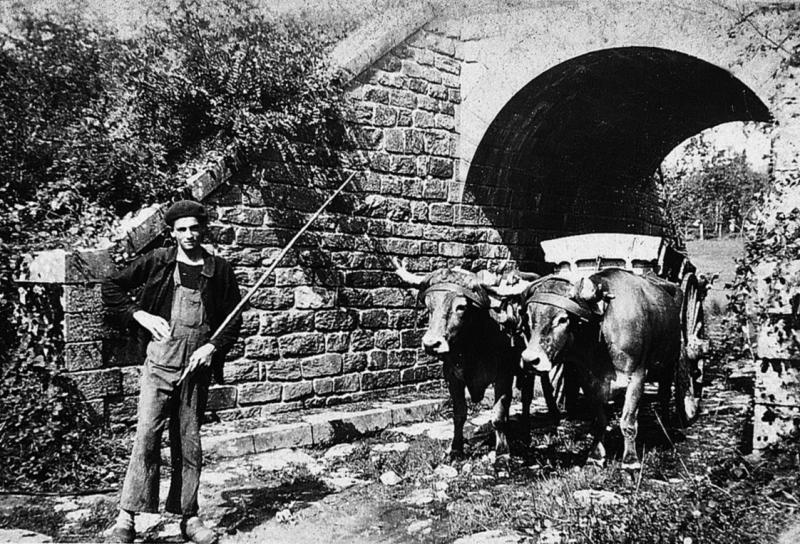 Homme devant paire de bovidés (parelh) attelés à un tombereau (tombarèl) passant sous un petit pont (pontet), en Ségala (secteur de Baraqueville-Sauveterre : Gramond ?)