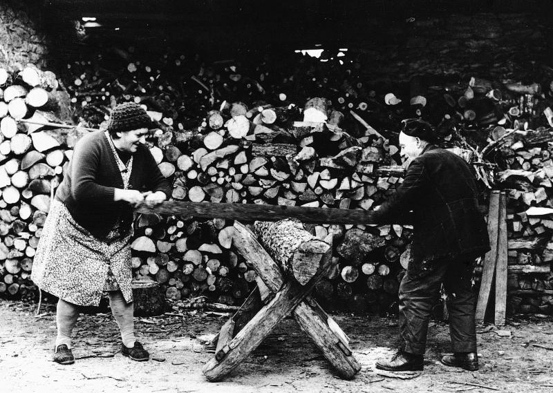 Couple sciant avec une scie passe-partout (tòra) une branche placée sur un chevalet (cabra) devant un tas de bois de chauffage (lenhièr), à La Rouirie, 1968