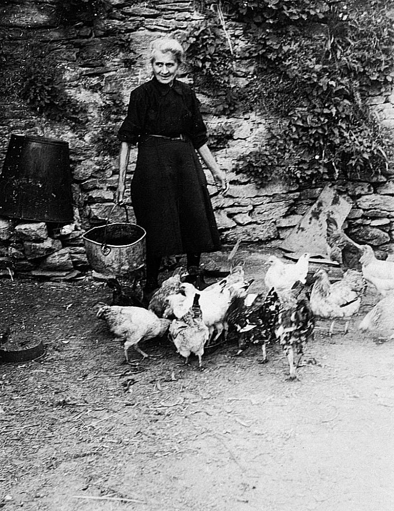 Femme donnant à manger (apasturar) à des poules (galinas, polas)
