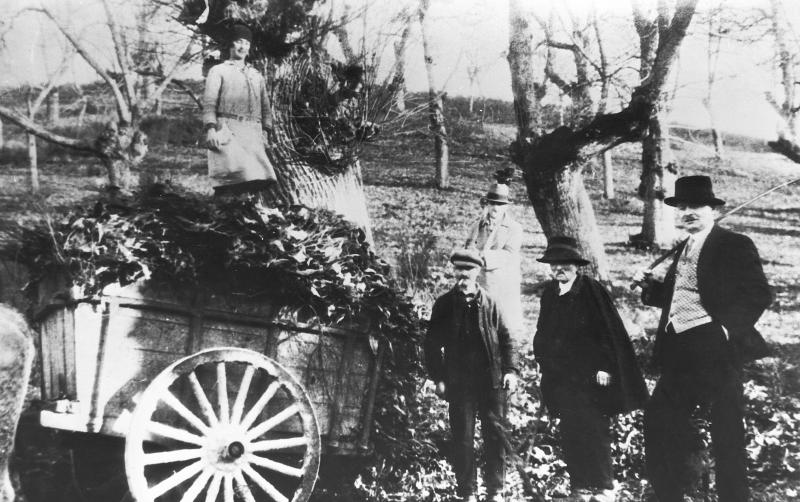Temps de pause durant chargement de feuilles mortes de châtaignier (castanhièr) pour en faire litière (apalhar) sur un tombereau (tombarèl), à La Peyrière, 1928-1929