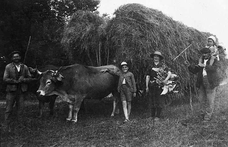 Temps de pause devant une paire de bovidés (parelh) et un charretée (carrada) de foin (fen), femme avec feuilles de chou (caul), enfant juché sur les épaules d'un homme, à Puech Usclat, 1943-1944