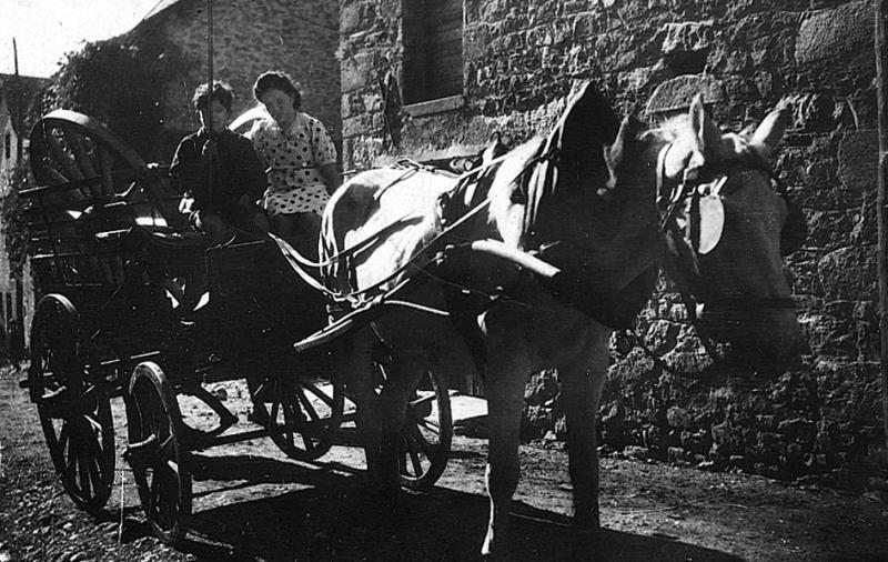 Roue de char (ròda de carri), garçon (dròlle, enfant) et femme sur un break hippomobile attelé à une jument (cavala, èga), 1946
