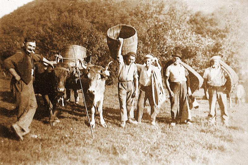 Paire de bovidés (parelh) et cuve (cornut) sur un char (carri), hommes avec barrique (barrica) et corbeilles (descas) sur les épaules un jour de vendanges (vendémias, vendenhas), 1942