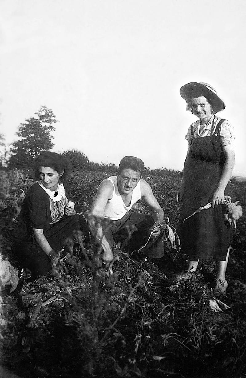 Temps de pause durant plantation de choux (cauls, caulets), au foirail Saint-Marc, mai 1943