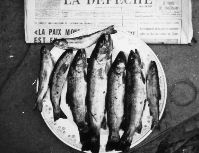 Huit truites (trochas) pêchées à la sauterelle (sautaboc) dans le Céor présentées sur un plat (plat), 1966