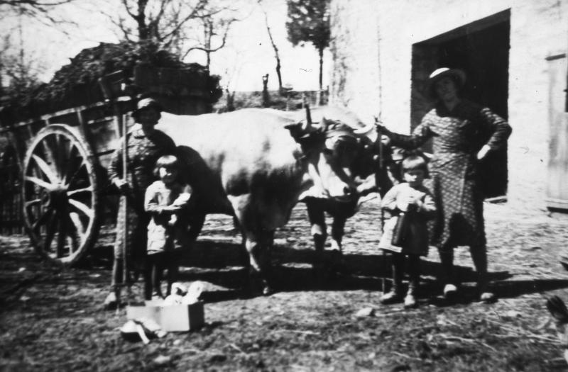 Femmes et fillettes (drolletas, filhetas) devant un tombereau (tombarèl) de fumier (fems) et une paire de bovidés (parelh), à Saint-Urbain, 1939