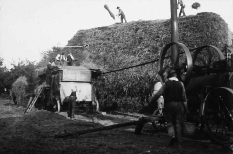 Dépiquage (escodre) mécanisé à la batteuse (batusa) devant un gerbier (plonjon) rectangulaire, à Lezins, 1938
