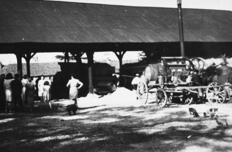 Dépiquage (escodre) mécanisé à la batteuse (batusa) sous et devant un hangar (engard), à Violelle, 1943