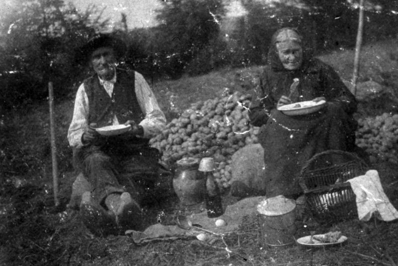 Couple (coble) mangeant assis sur des sacs (sacas) et devant un tas (molon) de pommes de terre (patanons, trufas, trufes, trufets), en Ségala (secteur de Cassagnes-Bégonhès : Arvieu ?)