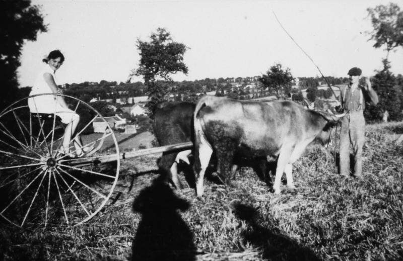 Temps de pause durant râtelage mécanisé avec râteau faneur et paire de bovidés (parelh), à Calviac, 1953