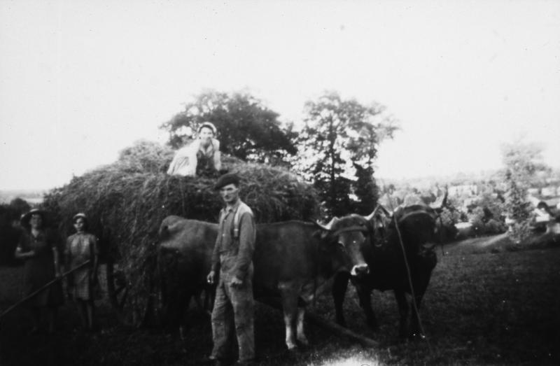 Temps de pause durant chargement manuel du foin (fen) sur un char (carri) attelé à une paire de bovidés (parelh), à Calviac