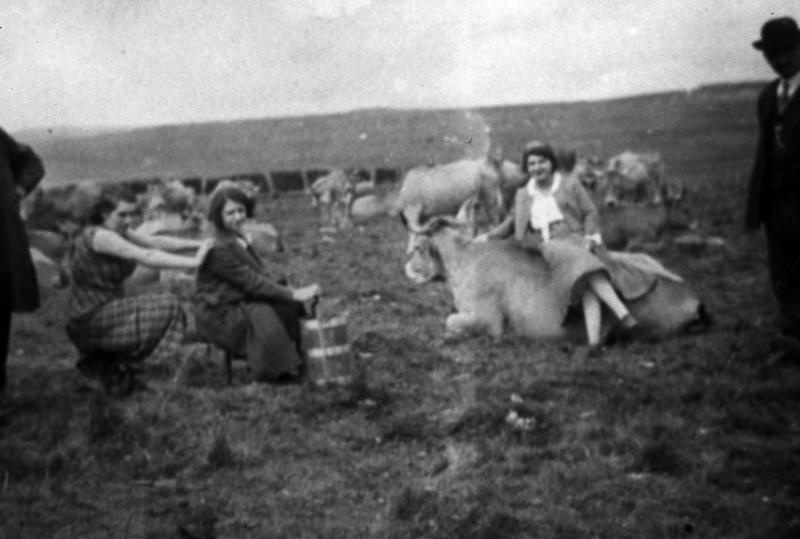 Hommes et femmes de Calmont avec troupeau de bovidés (vacada) devant un parc de claies (pargue) sur une Montagne (Montanha), à Saint-Andéol (48)