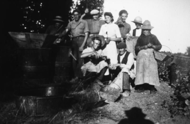 Temps de pause (beguda) d'une équipe de vendangeurs (còla de vendemiaires), dont certains de Labastide Lévis (81), à côté de comportes (semals), au Piboul, 1944